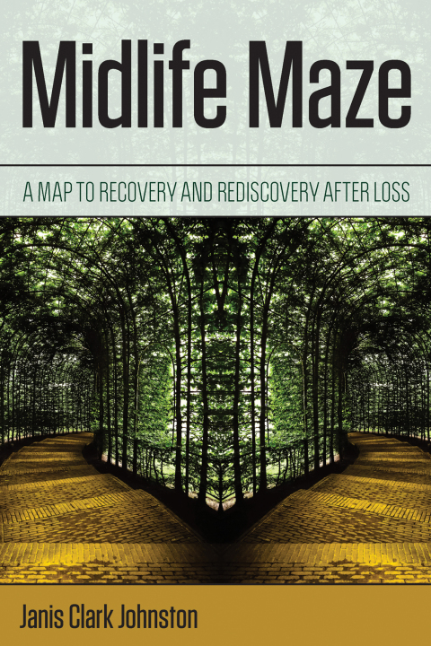 Cover image for book Midlife Maze