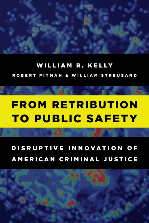 Cover image for book From Retribution to Public Safety