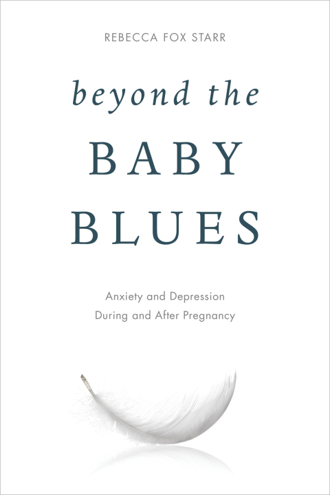 Cover image for book Beyond the Baby Blues