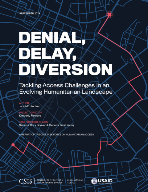 Cover image for book Denial, Delay, Diversion