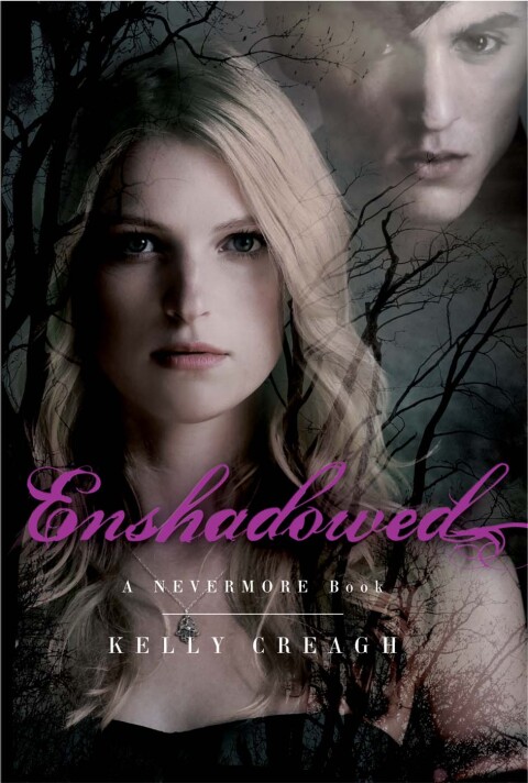 Cover image for book Enshadowed