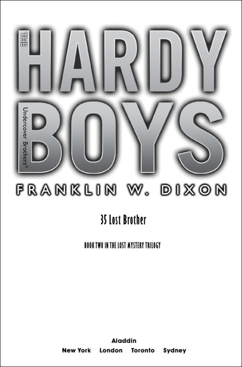 Cover image for book Lost Brother