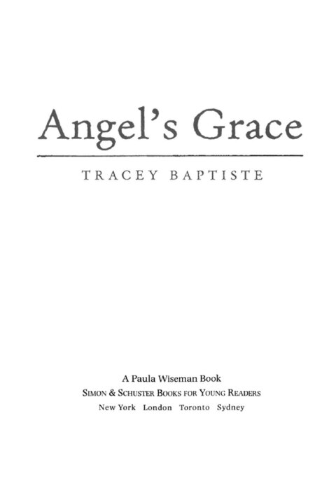 Cover image for book Angel's Grace
