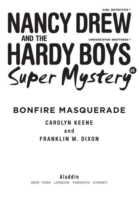 Cover image for book Bonfire Masquerade