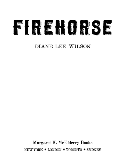 Cover image for book Firehorse