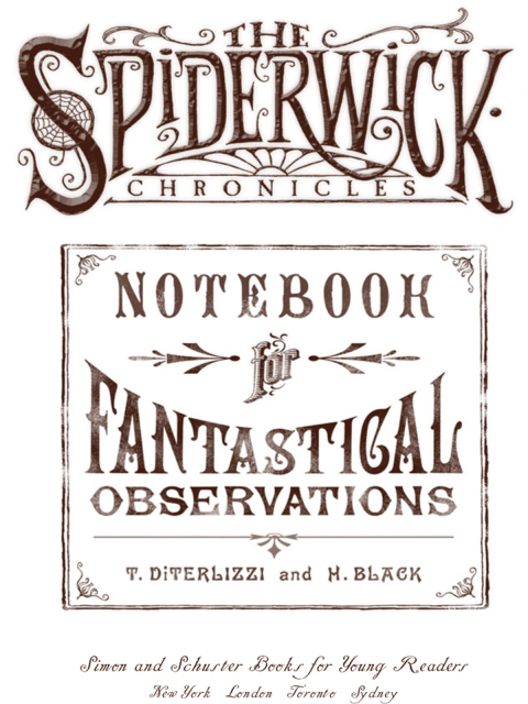 Cover image for book Notebook for Fantastical Observations