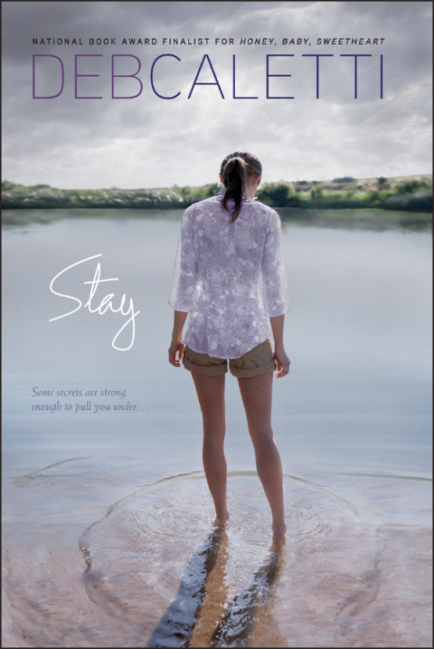 Cover image for book Stay