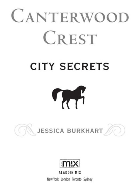 Cover image for book City Secrets
