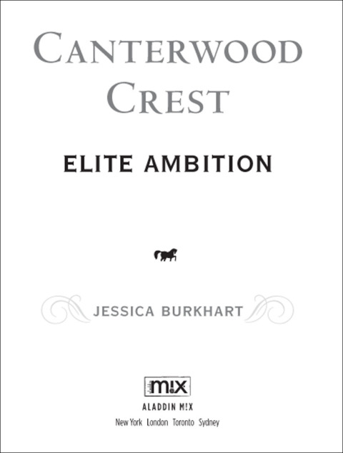 Cover image for book Elite Ambition
