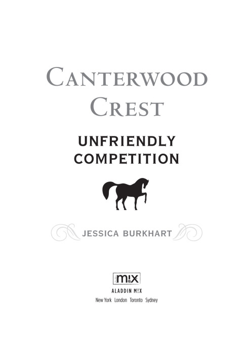 Cover image for book Unfriendly Competition