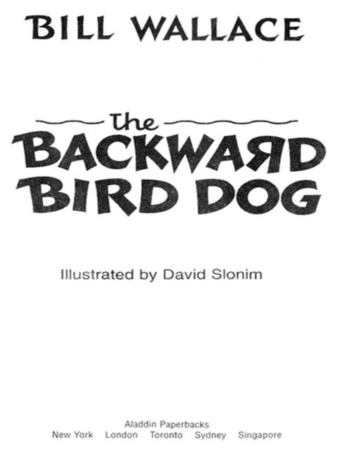 Cover image for book The Backward Bird Dog