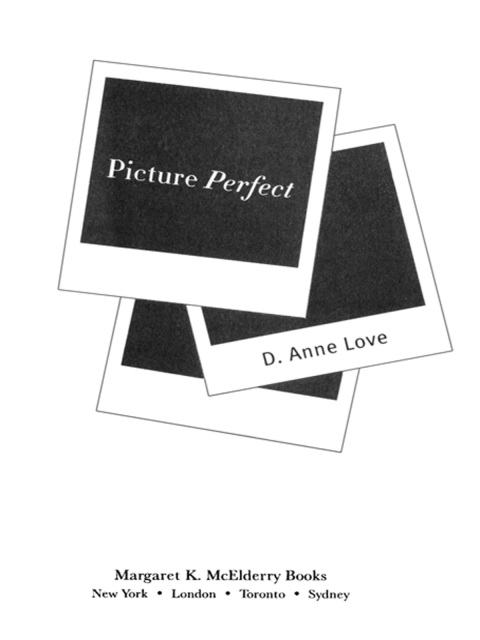Cover image for book Picture Perfect