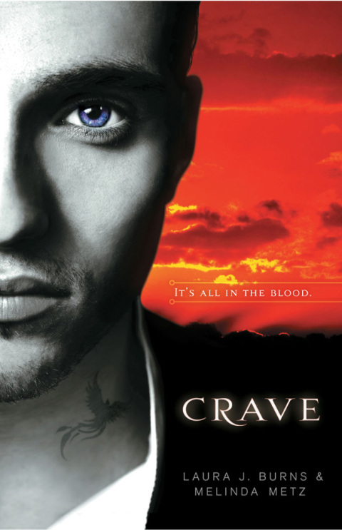 Cover image for book Crave