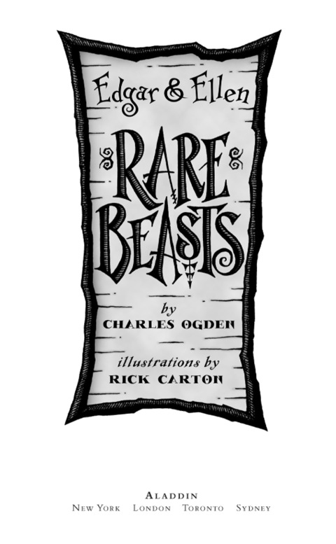Cover image for book Rare Beasts