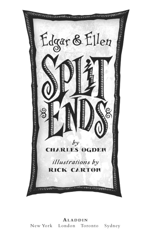 Cover image for book Split Ends
