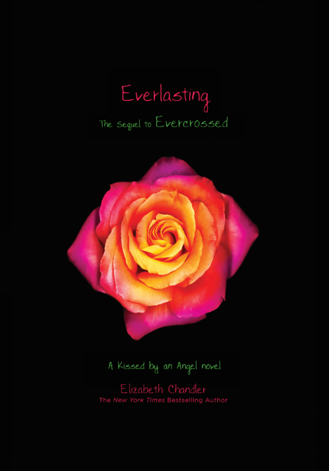 Cover image for book Everlasting