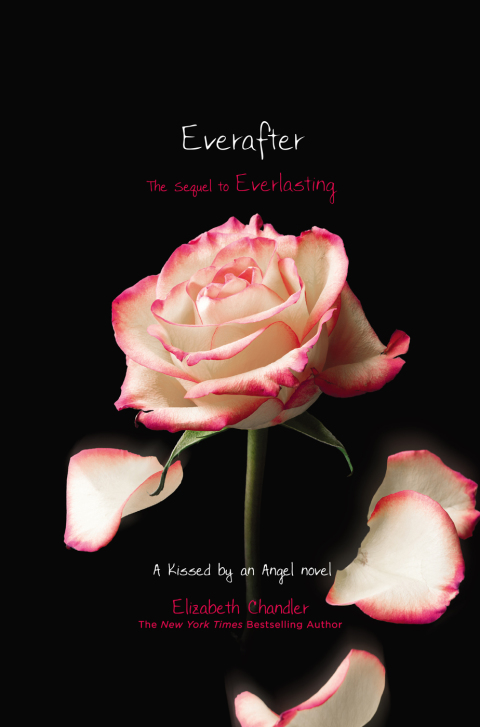 Cover image for book Everafter