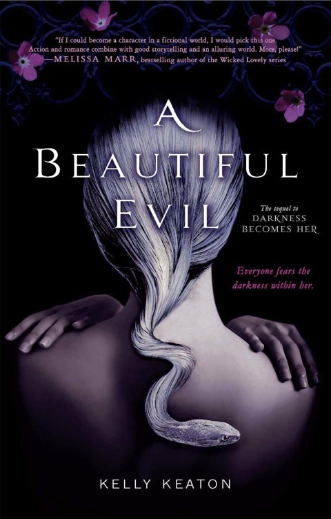 Cover image for book A Beautiful Evil