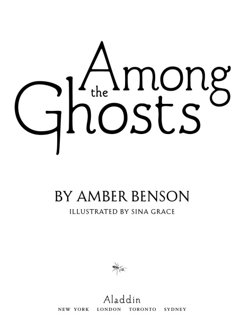 Cover image for book Among the Ghosts