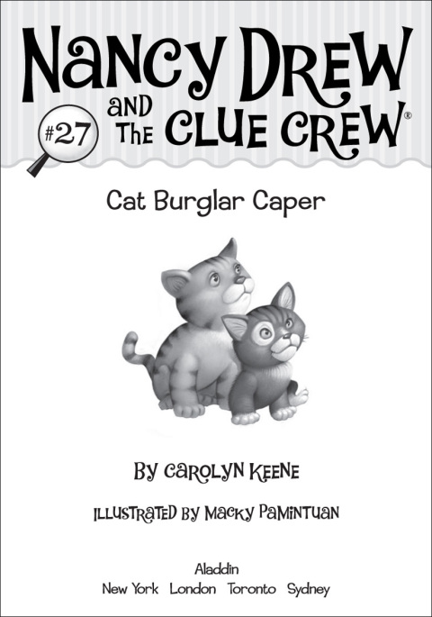 Cover image for book Cat Burglar Caper