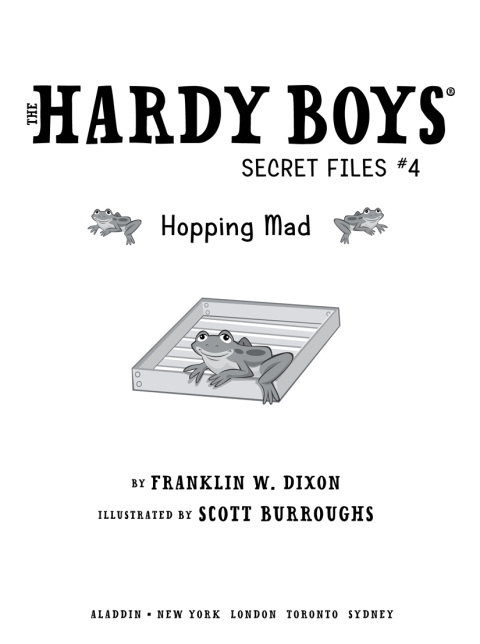 Cover image for book Hopping Mad