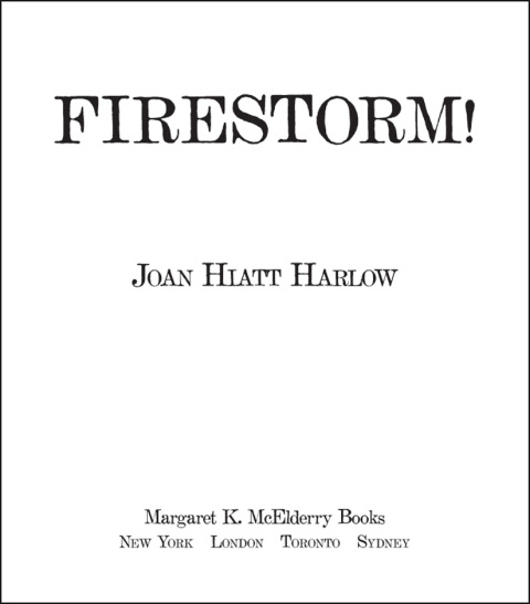 Cover image for book Firestorm!