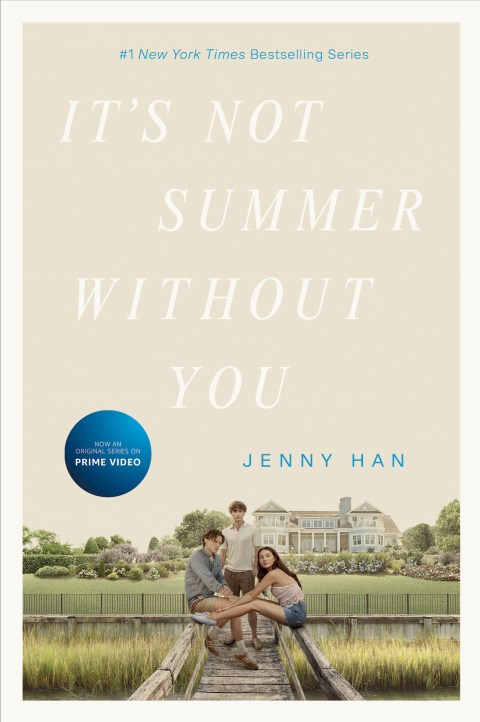 Cover image for book It's Not Summer Without You