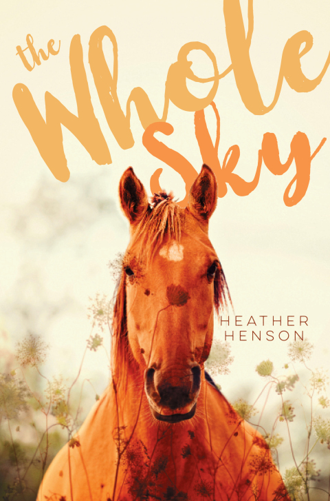 Cover image for book The Whole Sky