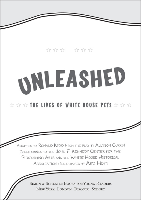 Cover image for book Unleashed