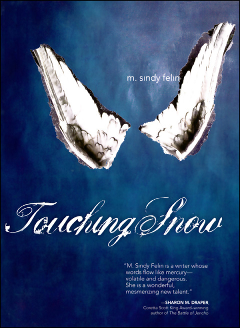 Cover image for book Touching Snow