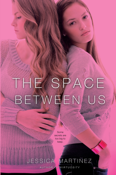 Cover image for book The Space Between Us