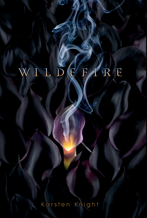 Cover image for book Wildefire