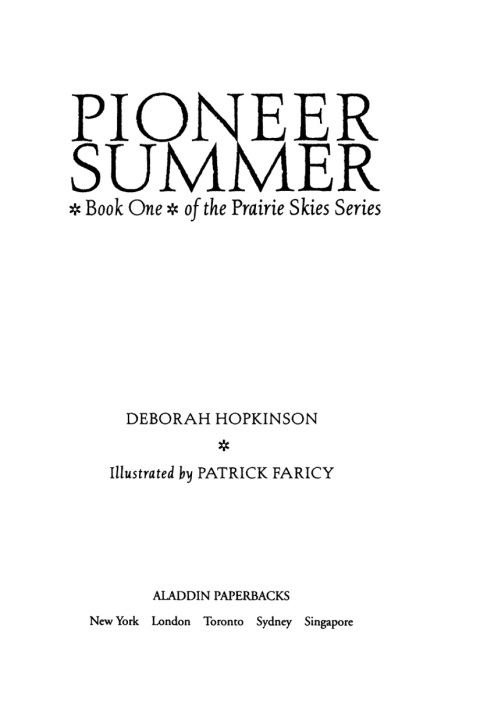 Cover image for book Pioneer Summer