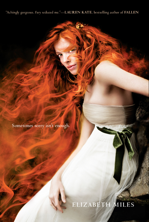 Cover image for book Fury