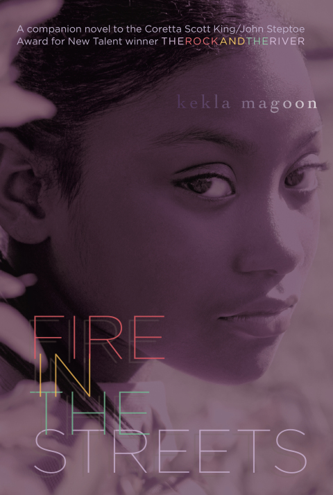 Cover image for book Fire in the Streets