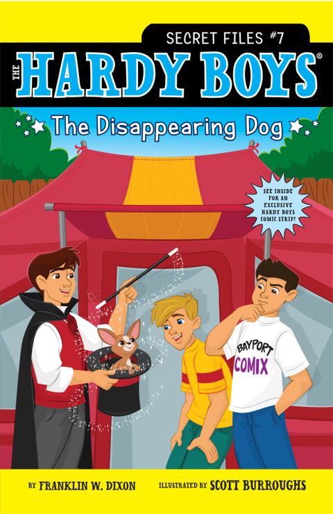 Cover image for book The Disappearing Dog