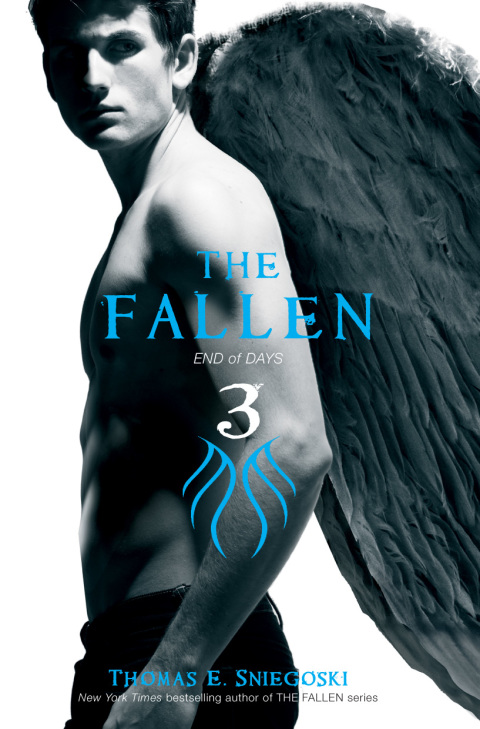 Cover image for book The Fallen 3