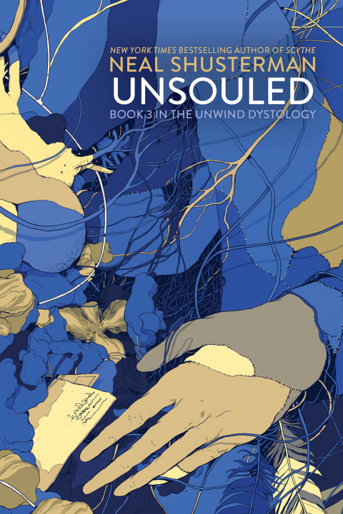 Cover image for book UnSouled