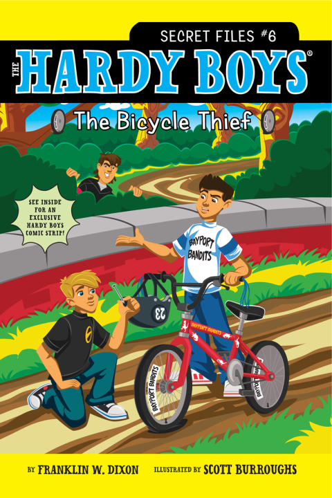 Cover image for book The Bicycle Thief
