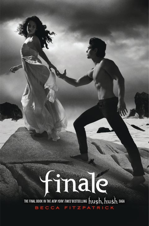 Cover image for book Finale