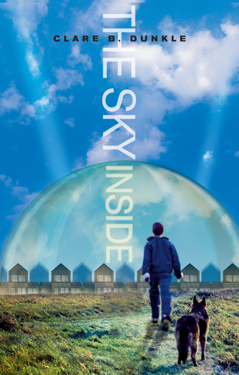 Cover image for book The Sky Inside