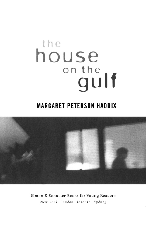 Cover image for book The House on the Gulf