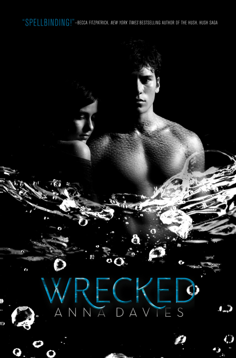 Cover image for book Wrecked