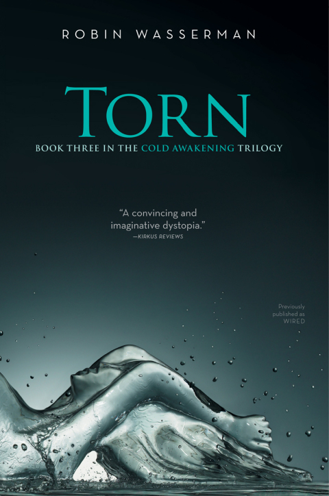 Cover image for book Torn