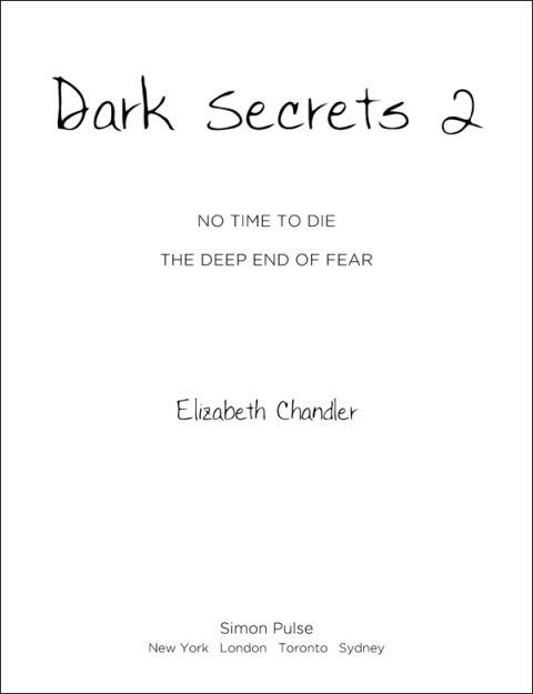 Cover image for book Dark Secrets 2