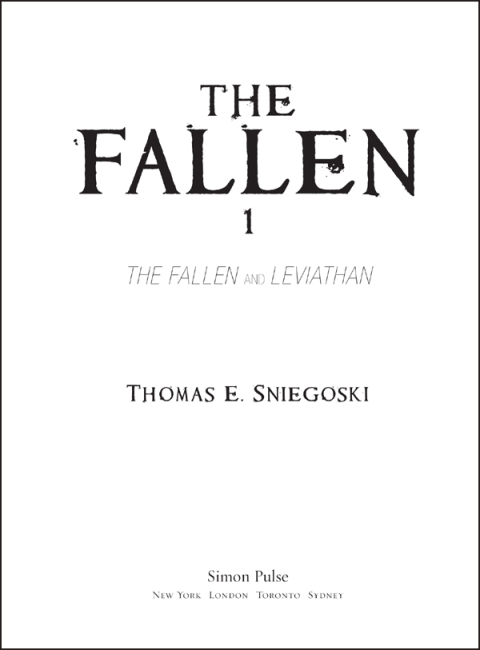 Cover image for book The Fallen 1