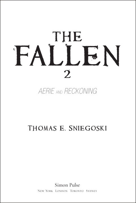 Cover image for book The Fallen 2