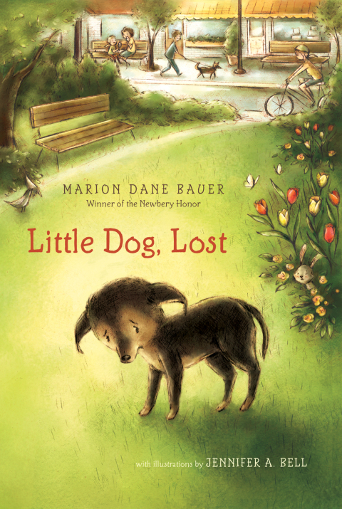Cover image for book Little Dog, Lost