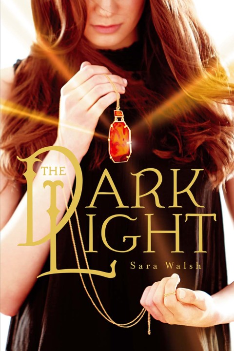 Cover image for book The Dark Light