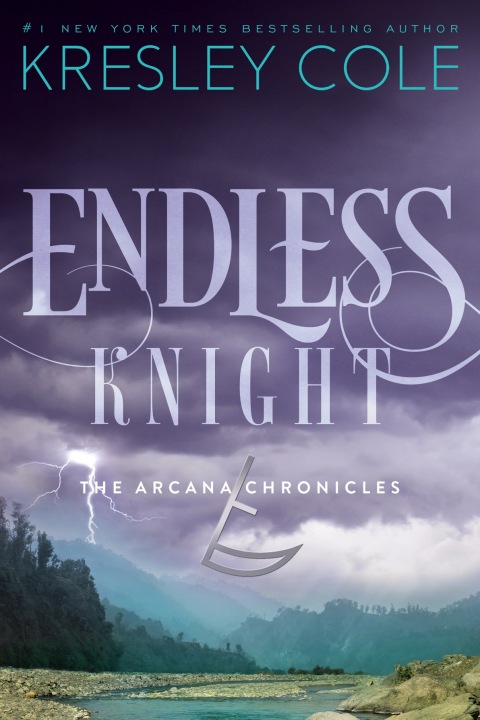 Cover image for book Endless Knight